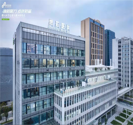 燃石醫(yī)學(xué)